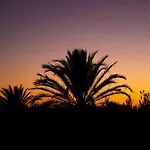 Sapphire - Sea & Nature Marbella